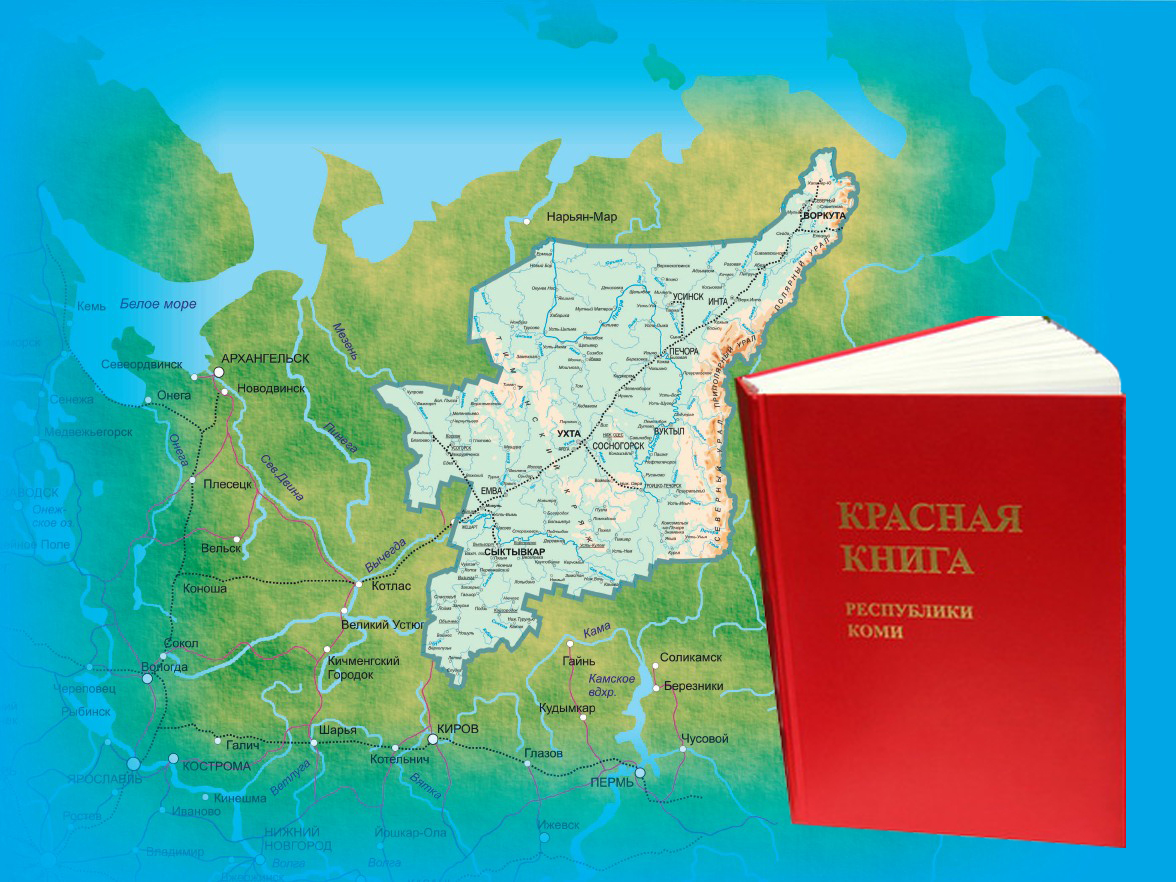 Красная книга республики коми презентация коми