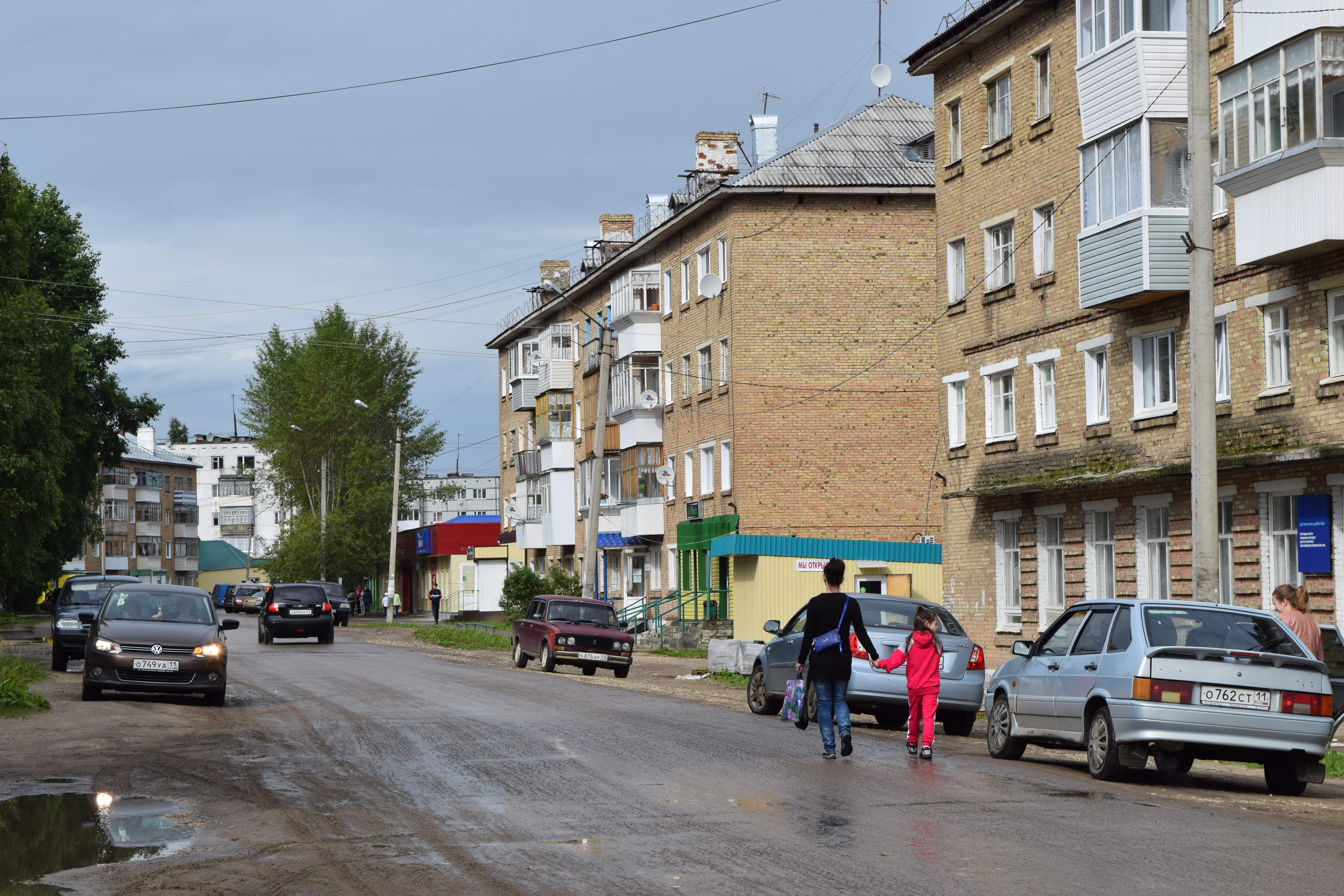 Белый медведь – крупный хищник севера. Описание и фото белого медведя